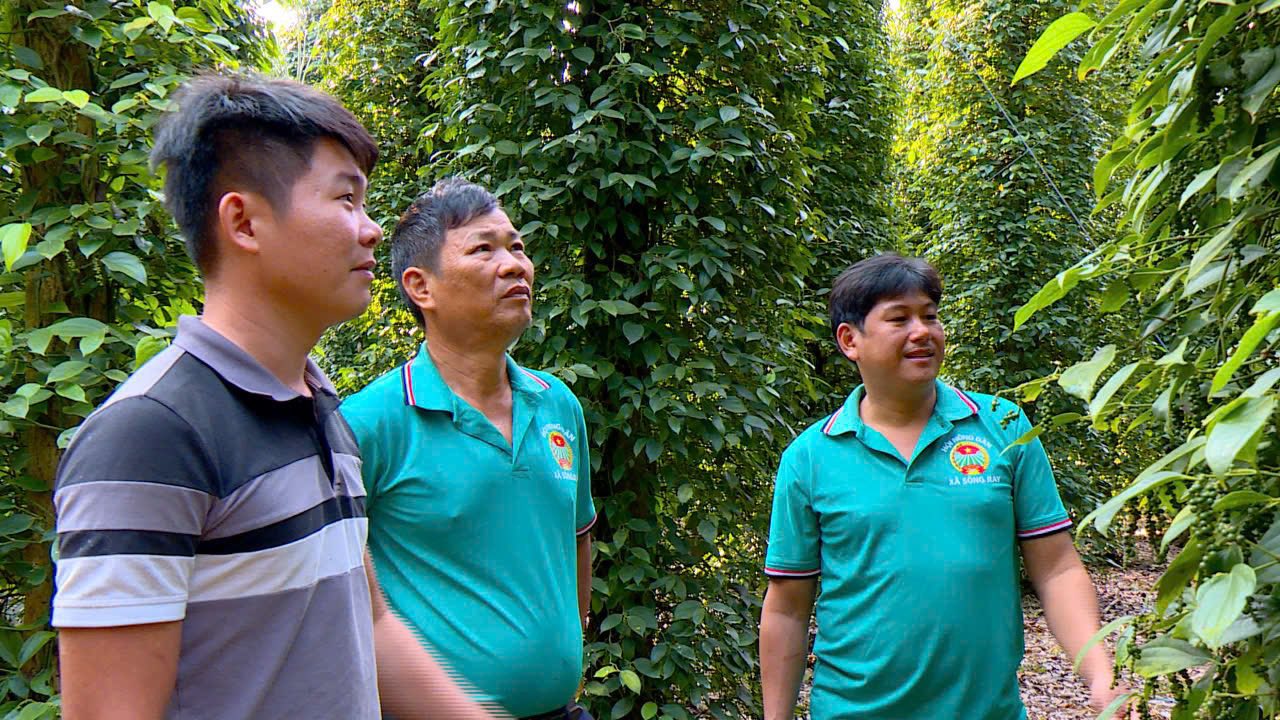 622998320 122108212065210804 1612668283938815440 n