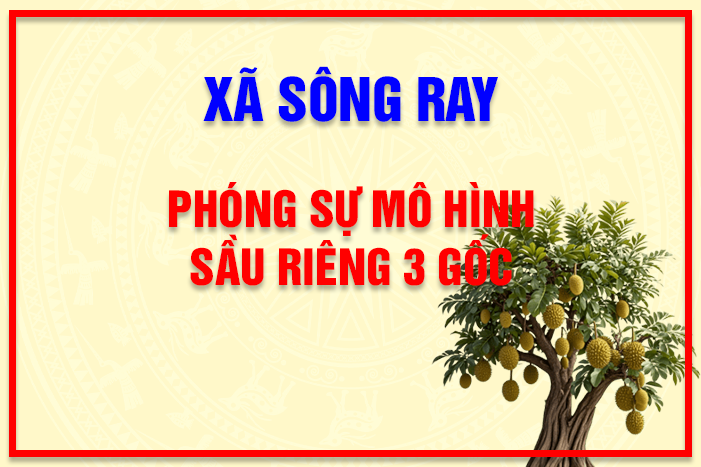 |XÃ SÔNG RAY| MÔ HÌNH TRỒNG SẦU RIÊNG 3 GỐC