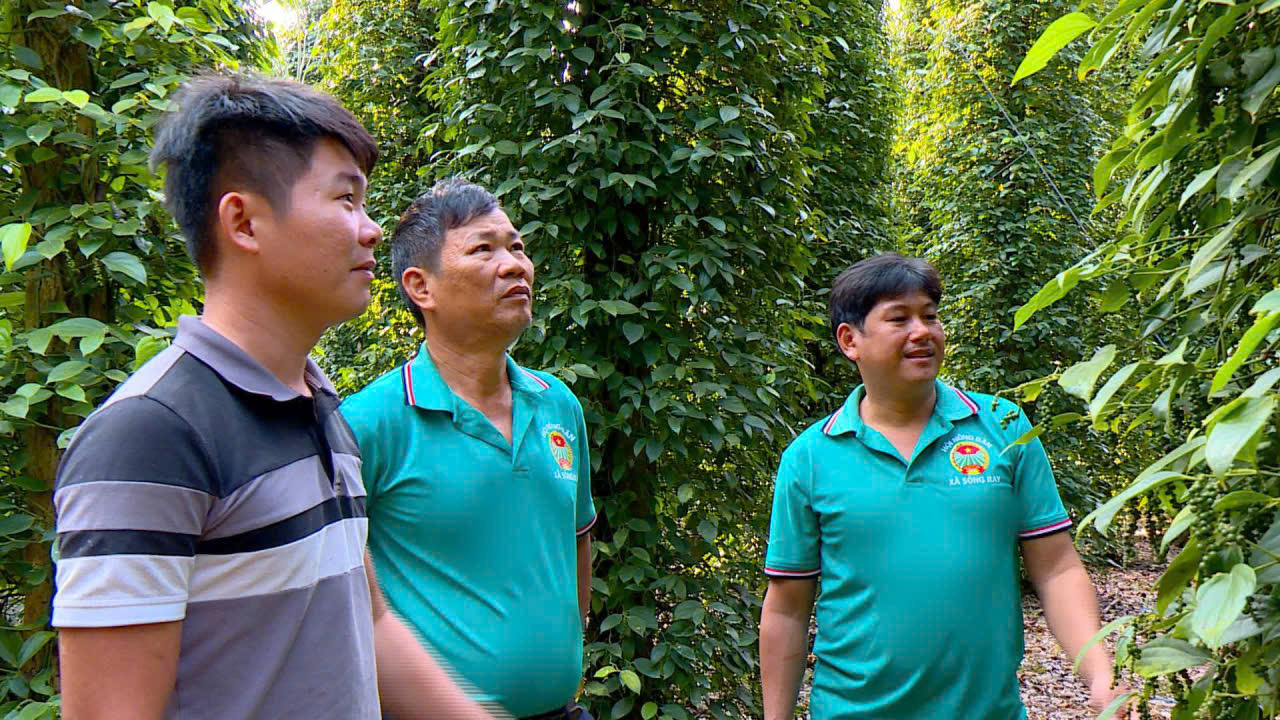 HỘI NÔNG DÂN XÃ SÔNG RAY KIỂM TRA VỐN VAY VÀ ĐỐI CHIẾU DƯ NỢ NGÂN HÀNG CHÍNH SÁCH XÃ HỘI